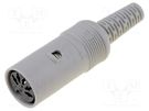 Plug; DIN; female; PIN: 5; Layout: 180°; straight; for cable HIRSCHMANN