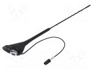 Antenna; automotive; 0.4m; Alfa Romeo,Fiat; with amplifier; 0.3m 4CARMEDIA