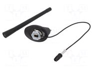 Antenna; automotive; 0.175m; Alfa Romeo,Fiat; with amplifier 4CARMEDIA
