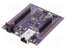 Dev.kit: Ethernet; pin strips,RJ45,power supply; Ethernet,USB WIZNET