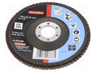 Flap grinding wheels; Ø: 125mm; Øhole: 22.23mm; Granularity: 120 METABO