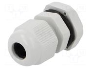 Cable gland; PG7; IP68; polyamide; grey PAWBOL