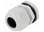 Cable gland; PG21; IP68; polyamide; grey PAWBOL