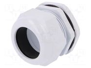 Cable gland; PG42; IP68; polyamide; grey PAWBOL