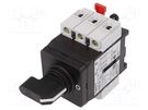 Main emergency switch-disconnector; Poles: 3; 25A; TeSys VARIO SCHNEIDER ELECTRIC