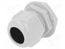 Cable gland; M32; 1.5; IP68; polyamide; light grey RITTAL