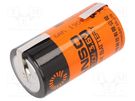 Battery: lithium; 3.6V; C; 6000mAh; Ø26x50.9mm; soldering lugs FANSO