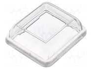 Accessories: cover; Body: transparent; 24x21mm; 8650 BULGIN