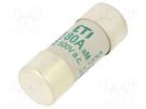 Fuse: fuse; aM; 80A; 500VAC; cylindrical,industrial; 22x58mm ETI POLAM