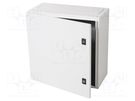 Enclosure: wall mounting; X: 500mm; Y: 500mm; Z: 250mm; Spacial CRN SCHNEIDER ELECTRIC
