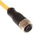 M12 CORDSET, 5-POSITION FEMALE STRAIGHT TO OPEN END, 22 AWG, 10M 68AK2121