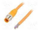 Connection lead; M12; PIN: 8; straight; 10m; plug; 30VAC; 2A; PVC LUMBERG AUTOMATION