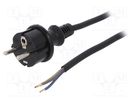 Cable; 3x1mm2; CEE 7/7 (E/F) plug,wires,SCHUKO plug; rubber; 3m PLASTROL
