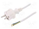 Cable; 3x1mm2; CEE 7/7 (E/F) plug,wires,SCHUKO plug; PVC; 3m PLASTROL