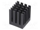 Heatsink: extruded; grilled; BGA; black; L: 17mm; W: 17mm; H: 19.5mm Advanced Thermal Solutions