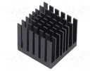 Heatsink: extruded; grilled; BGA; black; L: 30mm; W: 30mm; H: 24.5mm Advanced Thermal Solutions