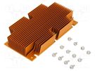 Heatsink: extruded; grilled; BGA; golden; L: 117mm; W: 61mm; H: 22.9mm Advanced Thermal Solutions