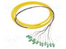 Optic fiber pigtail; LC/APC,fiber; 2m; Input: fiber x12 QOLTEC