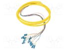 Optic fiber pigtail; LC/UPC,fiber; 2m; Input: fiber x12 QOLTEC