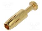 Contact; female; copper alloy; gold-plated; 1.5mm2; 16AWG; bulk DEGSON ELECTRONICS