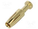 Contact; female; copper alloy; gold-plated; 2.5mm2; 14AWG; bulk DEGSON ELECTRONICS