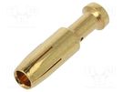 Contact; female; copper alloy; gold-plated; 4mm2; 12AWG; bulk; 40A DEGSON ELECTRONICS