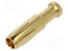 Contact; female; copper alloy; gold-plated; 6mm2; 10AWG; bulk; 40A DEGSON ELECTRONICS