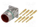 Connector: M23; socket; PIN: 8(4+4); male; crimped; straight; IP68 LAPP