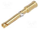 Contact; female; copper alloy; gold-plated; 2.5mm2; 14AWG; bulk DEGSON ELECTRONICS