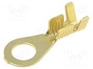 Tip: ring; M5; 1÷2.5mm2; crimped; for cable; straight; none; brass IMP