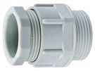 Cable gland; PG29; IP54; polyamide; grey; DIN 46320-A-FS HUMMEL