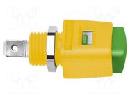 Laboratory clamp; yellow-green; 70VDC; 16A; screw,spring clamp SCHÜTZINGER