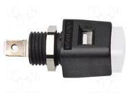 Laboratory clamp; white; 70VDC; 16A; screw,spring clamp; nickel SCHÜTZINGER