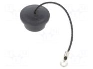 Female; straight NEUTRIK