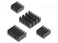 Heatsink; black; aluminium; 4pcs; thermal adhesive tape DFROBOT