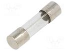 Fuse: fuse; time-lag; 500mA; 250VAC; cylindrical,glass; 5x20mm LITTELFUSE