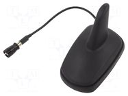 Antenna; automotive,SHARK; AM,FM; RAKU II female; black; 12VDC 4CARMEDIA