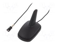 Antenna; automotive,SHARK; AM,FM; RAKU II female; black; 12VDC 4CARMEDIA