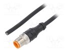 Connection lead; M12; PIN: 4; straight; 5m; plug; 250VAC; 4A; IP67 LUTRONIC