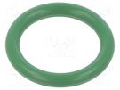 O-ring gasket; FPM; Thk: 3.5mm; Øint: 19mm; green; -20÷200°C ORING USZCZELNIENIA TECHNICZNE