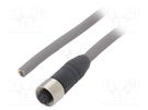 Connection lead; M12; PIN: 8; straight; 5m; plug; 36VAC; 2.2A; IP67 ALPHA WIRE