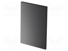 Front panel; Panel colour: black; UL94V-0 ITALTRONIC