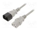 Cable; 3x0.75mm2; IEC C13 female,IEC C14 male; PVC; 1m; grey; 10A LIAN DUNG