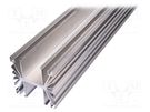 Heatsink: extruded; grilled; natural; L: 1000mm; W: 119mm; H: 119mm SEIFERT ELECTRONIC