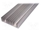 Heatsink: extruded; grilled; natural; L: 1000mm; W: 180mm; H: 48mm SEIFERT ELECTRONIC