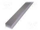 Heatsink: extruded; grilled; natural; L: 1000mm; W: 66mm; H: 40mm SEIFERT ELECTRONIC