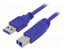 Cable; USB 3.0; USB A plug,USB B plug; gold-plated; 0.5m; blue GEMBIRD