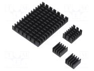 Heatsink; black; aluminium; 3pcs; thermal adhesive tape DFROBOT