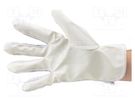 Protective gloves; ESD; S; Features: dissipative; white EUROSTAT GROUP