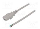 Cable; 3x0.75mm2; IEC C13 female,wires; PVC; 1.8m; grey; 10A; 250V LIAN DUNG
